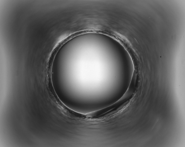 X0000087511168200704271117