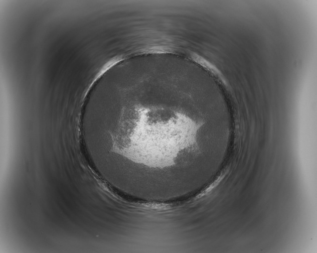 X0000087511170200704271117