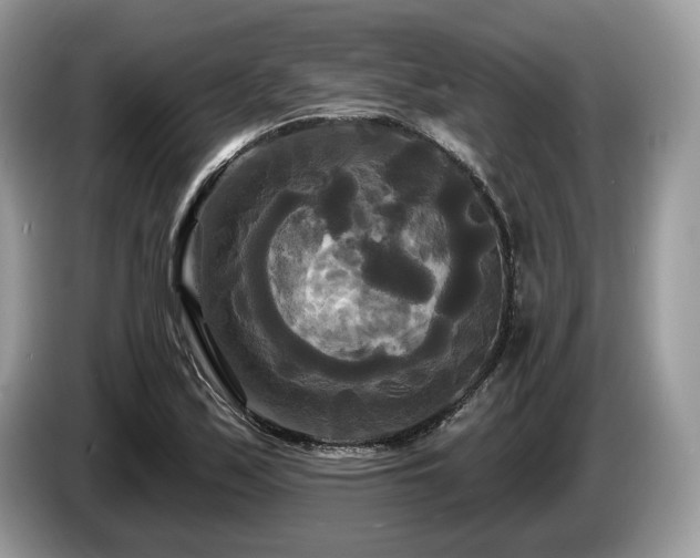 X0000087511171200704271117