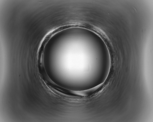 X0000087511172200704271117