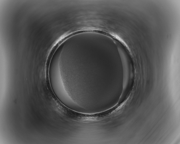 X0000087511173200704271117