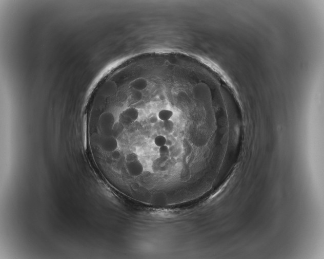 X0000087511175200704271117