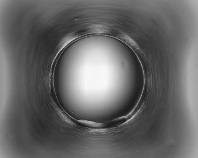 X0000087511178200704271117