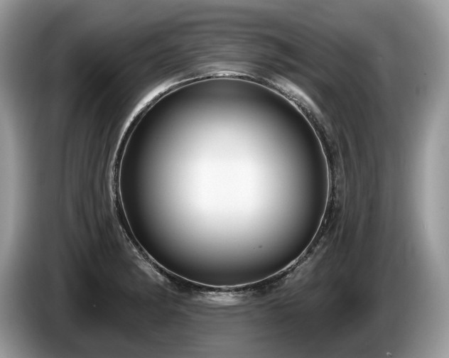 X0000087511182200704271117