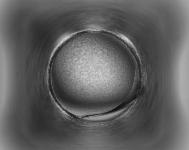 X0000087511183200704271117