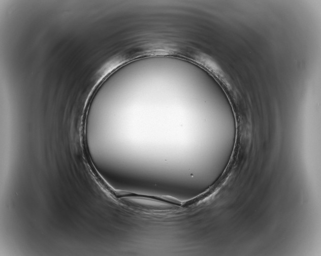 X0000087511186200704271117