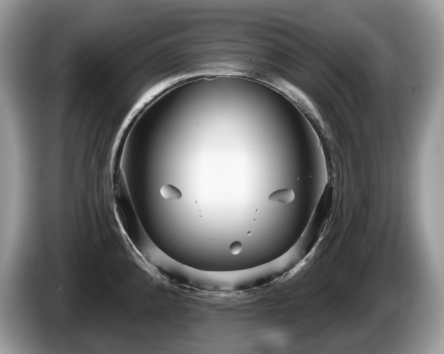 X0000087511192200704271117