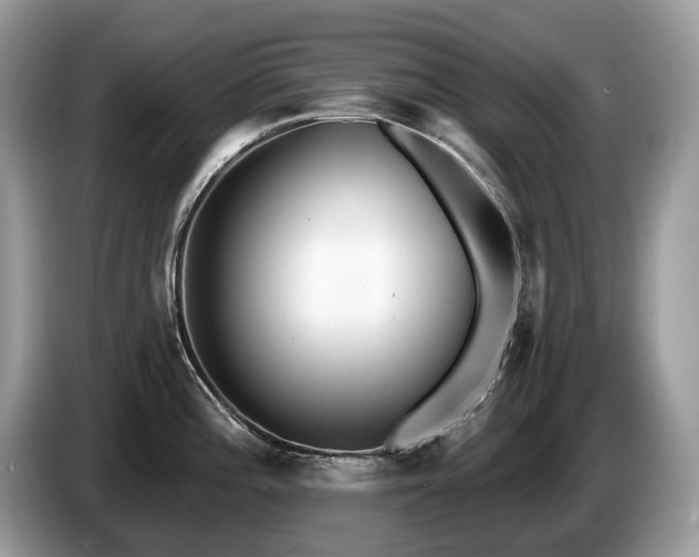 X0000087511196200704271117