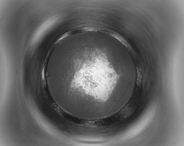 X0000087511198200704271117