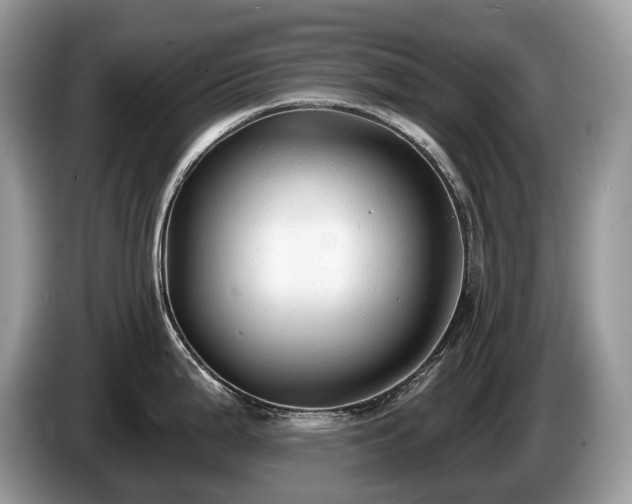 X0000087511199200704271117