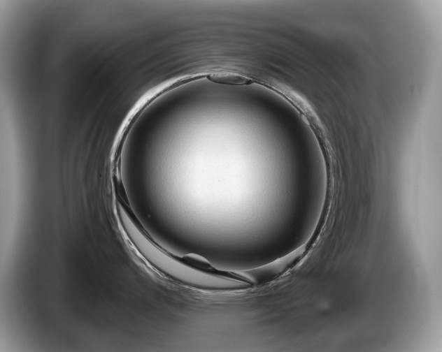 X0000087511200200704271117