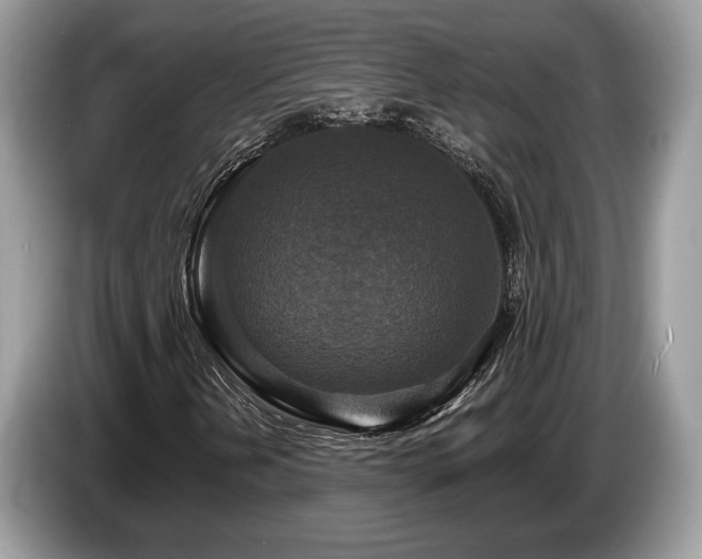 X0000087511202200704271116