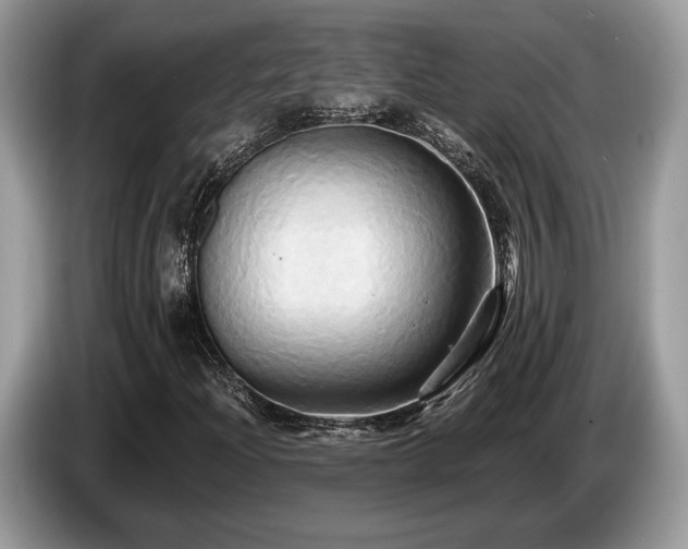 X0000087511204200704271116