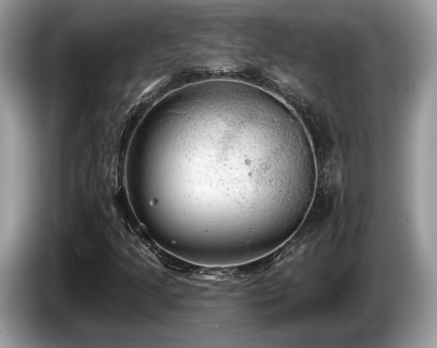 X0000087511205200704271116