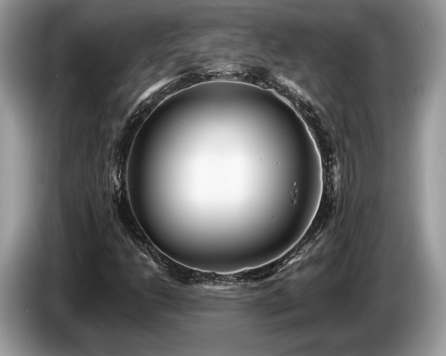 X0000087511206200704271116