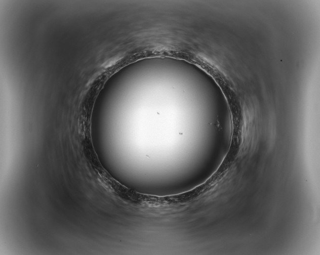 X0000087511207200704271116