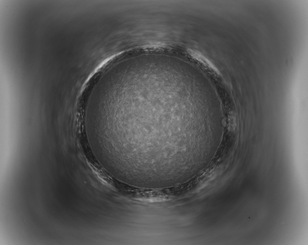 X0000087511208200704271116