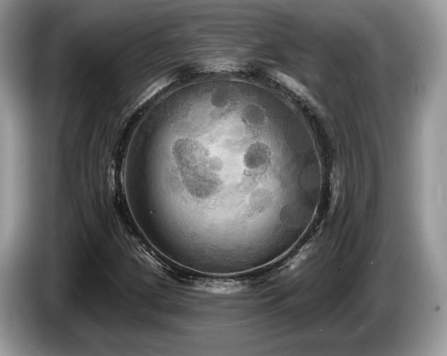 X0000087511209200704271116