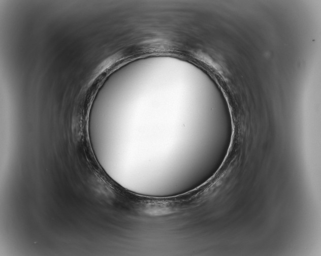 X0000087511211200704271117