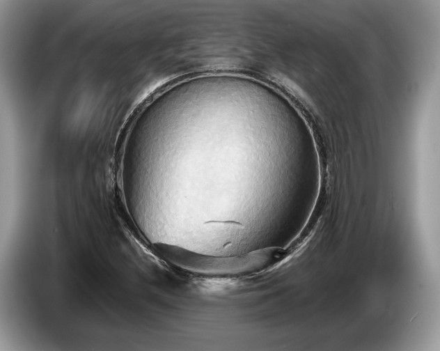 X0000087511212200704271117