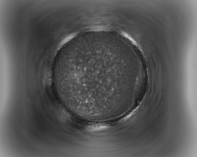 X0000087511213200704271117
