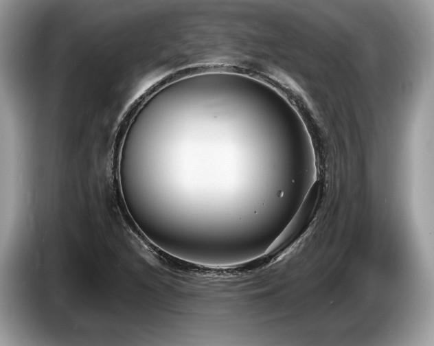 X0000087511216200704271117