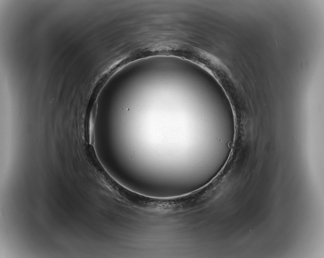 X0000087511217200704271117