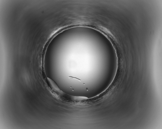 X0000087511220200704271117