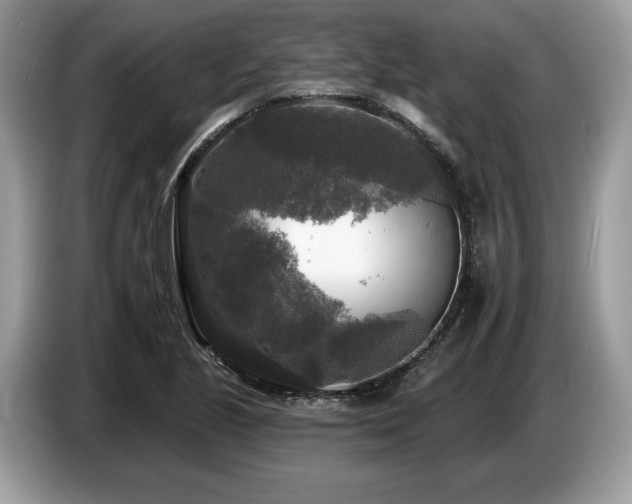 X0000087511221200704271117
