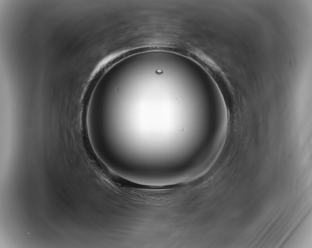X0000087511222200704271117