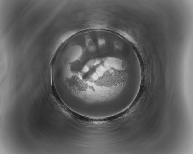 X0000087511223200704271117