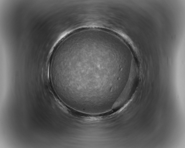 X0000087511224200704271117