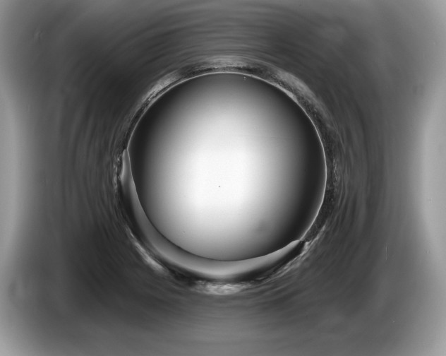 X0000087511225200704271117