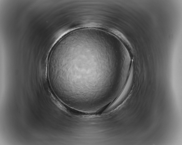 X0000087511228200704271117