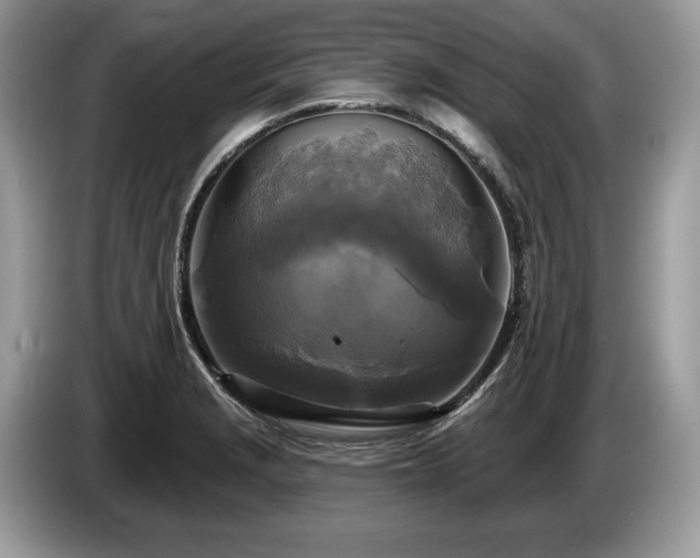 X0000087511229200704271117