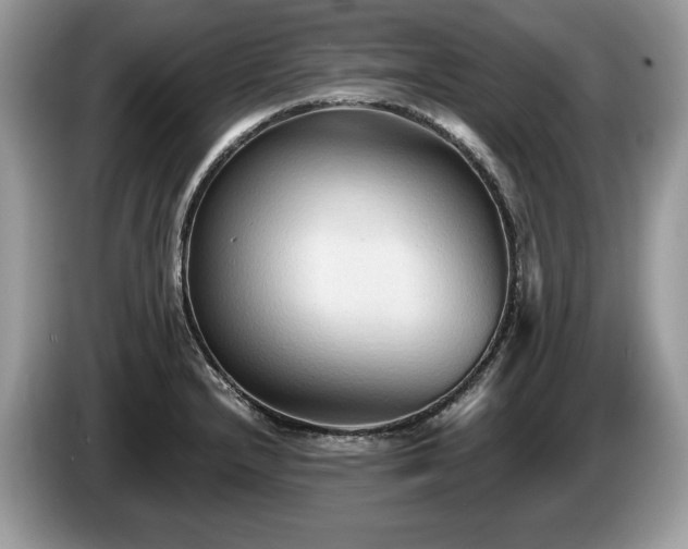 X0000087511232200704271117