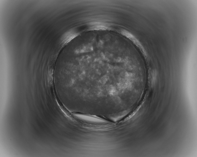 X0000087511233200704271117