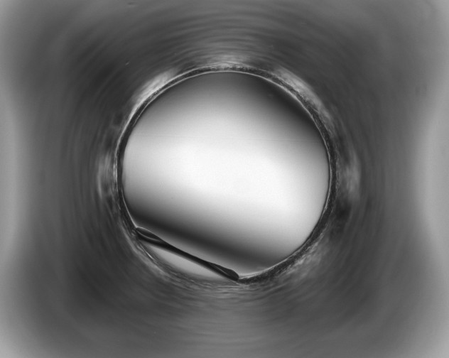 X0000087511234200704271117