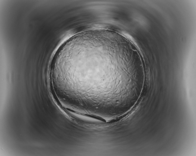 X0000087511235200704271117