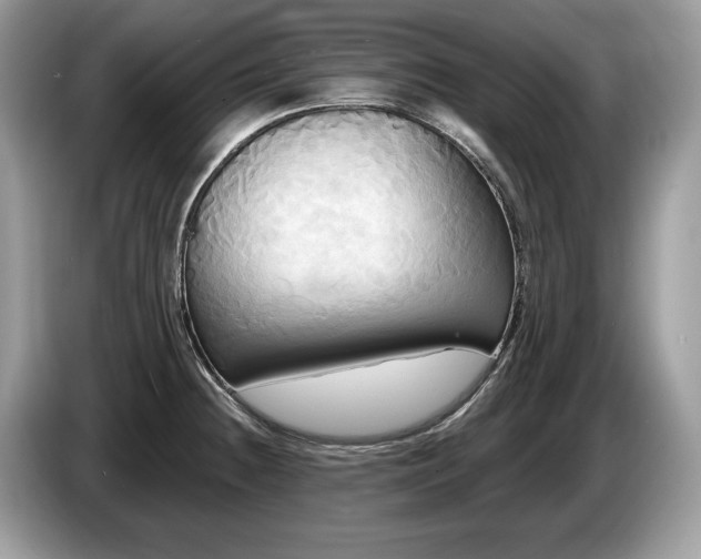X0000087511236200704271117