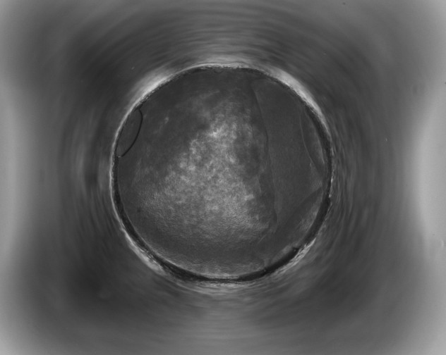 X0000087511237200704271117
