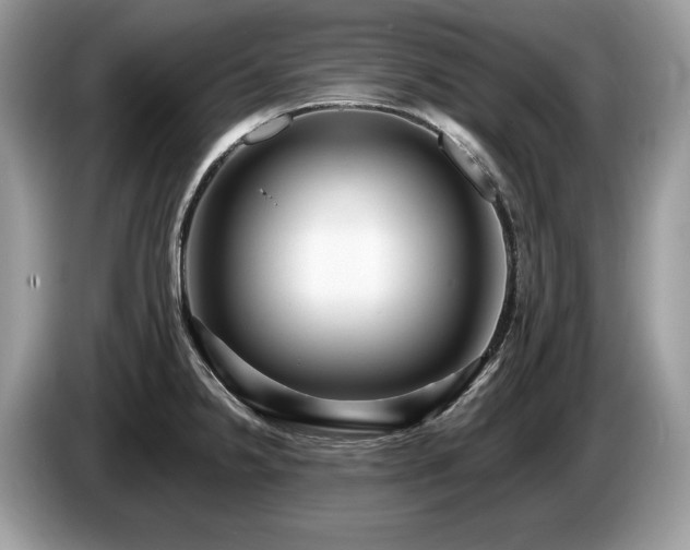 X0000087511238200704271117