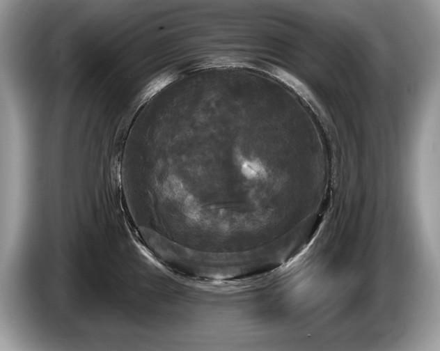 X0000087511241200704271117