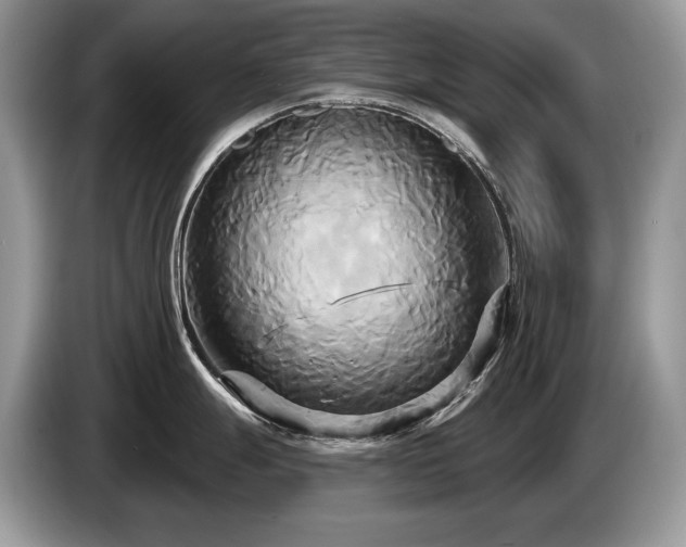 X0000087511247200704271117
