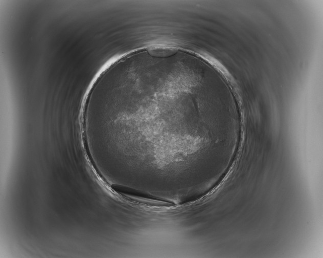 X0000087511248200704271117