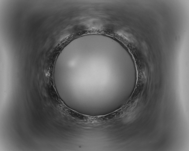 X0000087511254200704271116