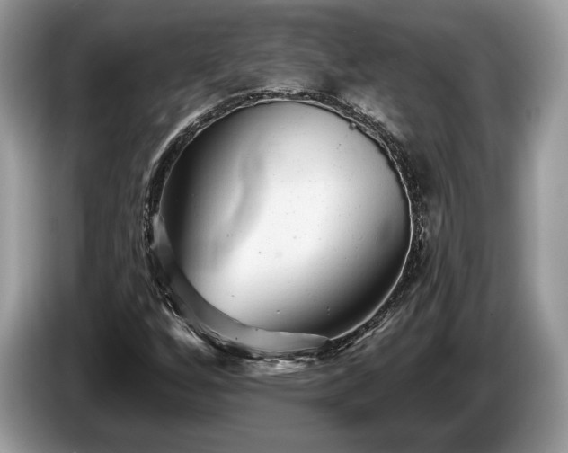 X0000087511256200704271116