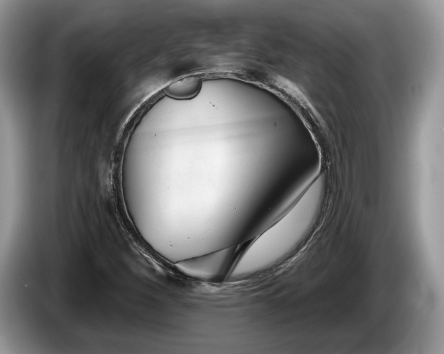 X0000087511260200704271116