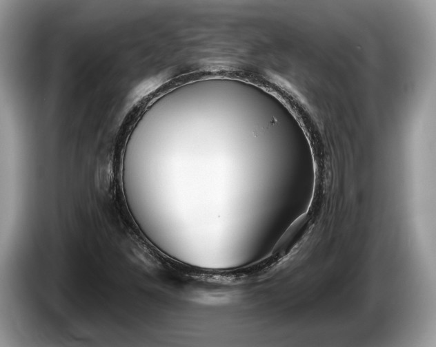X0000087511261200704271116