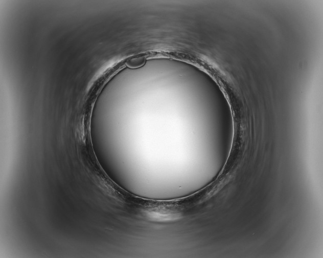 X0000087511262200704271116